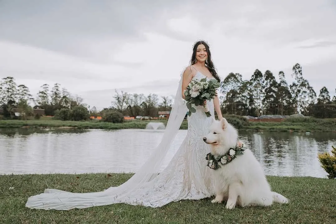 ¿Por qué los vestidos de novia son blancos?: 2024 | Wink